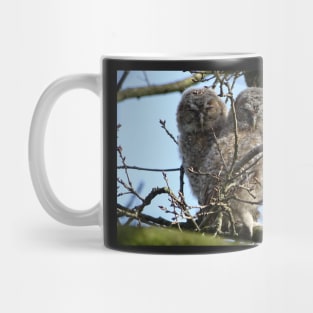 Tawny Owlets Mug